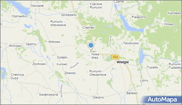 mapa Nowa Wieś, Nowa Wieś gmina Wielgie na mapie Targeo